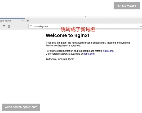 泳池安全规范修订草案提交，救生员配备标准提高